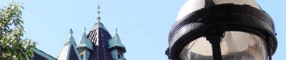 A bird perched on a rooftop spire against a clear sky.