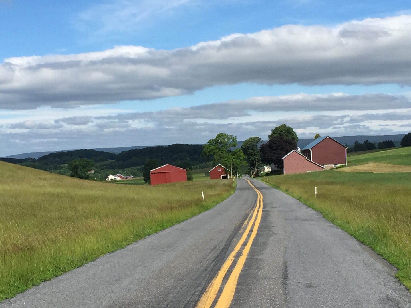 A rural road winding through grassy fields with red barns under a cloudy sky.