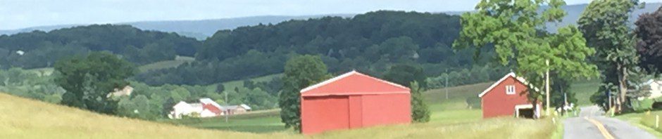 A red barn in a green field with forested hills in the background.