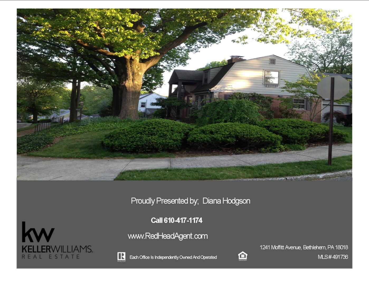 House with large tree and surrounding greenery.