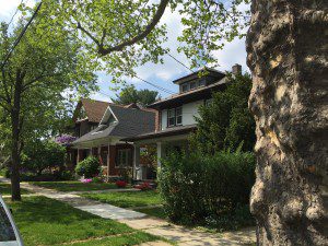 Tree-lined suburban street with charming houses.