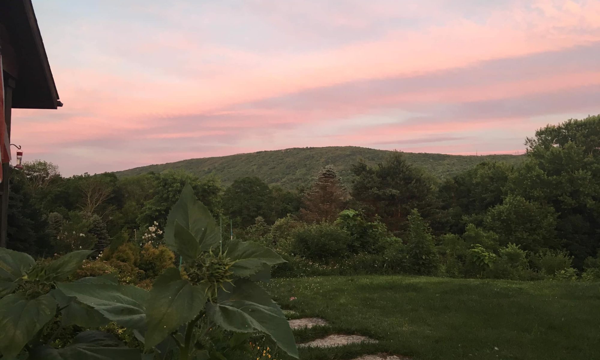 A serene hill under a pastel pink and blue sky at sunset.