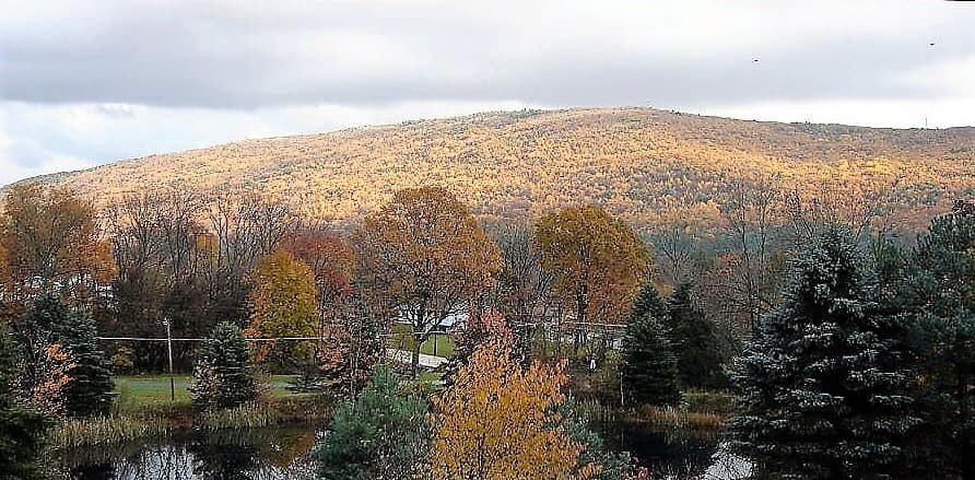 Autumn landscape with colorful trees and hills.